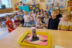 IMG_20260219_094225283_HDR_AE