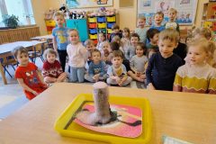 IMG_20260219_094227384_HDR_AE