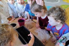 IMG_20260305_092846194_AE