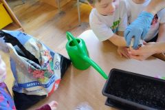 IMG_20260305_093200012_AE