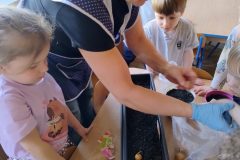 IMG_20260305_093237213_HDR_AE