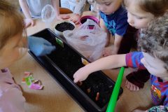 IMG_20260305_093244797_HDR_AE