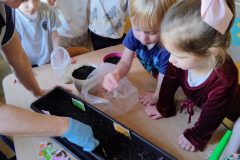 IMG_20260305_093313589_HDR_AE