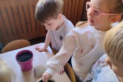 IMG_20260305_093403887_HDR_AE