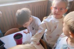 IMG_20260305_093410486_AE