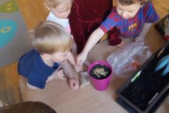 IMG_20260305_093456554_HDR_AE