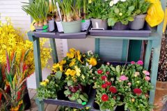 IMG_20260316_105925039_HDR_AE