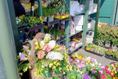 IMG_20260316_110024358_HDR_AE