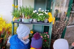 IMG_20260316_110141628_AE