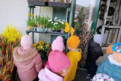 IMG_20260316_110221164_AE