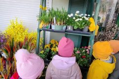 IMG_20260316_110233582_AE