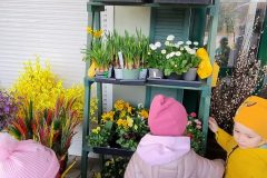 IMG_20260316_110236218_AE