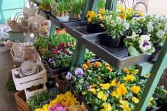 IMG_20260316_110310463_HDR_AE