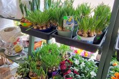 IMG_20260316_110314893_HDR_AE