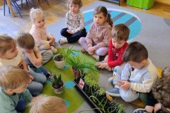 IMG_20260317_091126687_AE