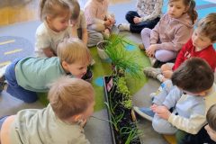 IMG_20260317_091132555_AE