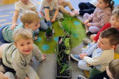 IMG_20260317_091154172_AE