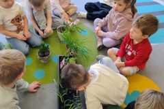 IMG_20260317_091214791_AE