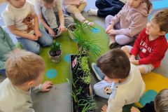 IMG_20260317_091217881_AE