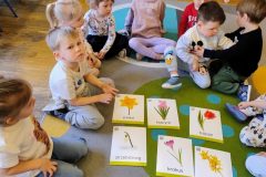 IMG_20260317_092511255_HDR_AE