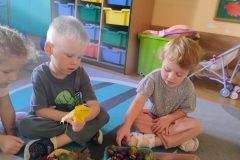IMG_20250922_093407075_AE