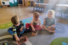 IMG_20250922_093519264_AE