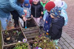 IMG_20251013_104140 IMG_20251013_104140