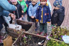 IMG_20251013_104148 IMG_20251013_104148