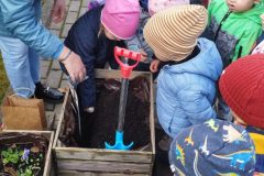 IMG_20251013_104242 IMG_20251013_104242