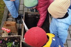 IMG_20251013_104523 IMG_20251013_104523