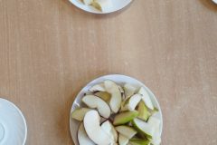 IMG_20251017_101125 IMG_20251017_101125