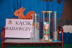 IMG_1229
