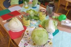 IMG_20211124_101555