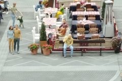 IMG_20251008_095303