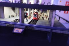 IMG_20251008_103118