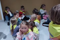 IMG_20251008_111155