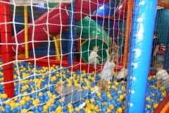 DSCN2309