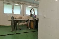 IMG_20240605_101513