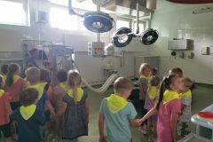 IMG_20240605_103724