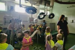 IMG_20240605_103736