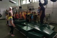 IMG_20240605_103748