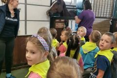 IMG_20240605_104934