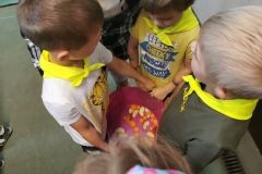 IMG_20240605_110259