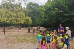 IMG_20240605_111526