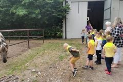 IMG_20240605_111717