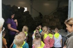 IMG_20240605_111849