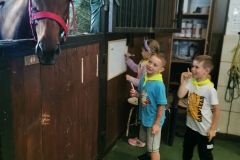 IMG_20240605_120511