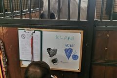 IMG_20240605_120740