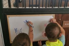 IMG_20240605_120755