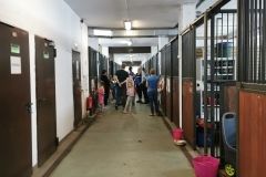 IMG_20240605_121009